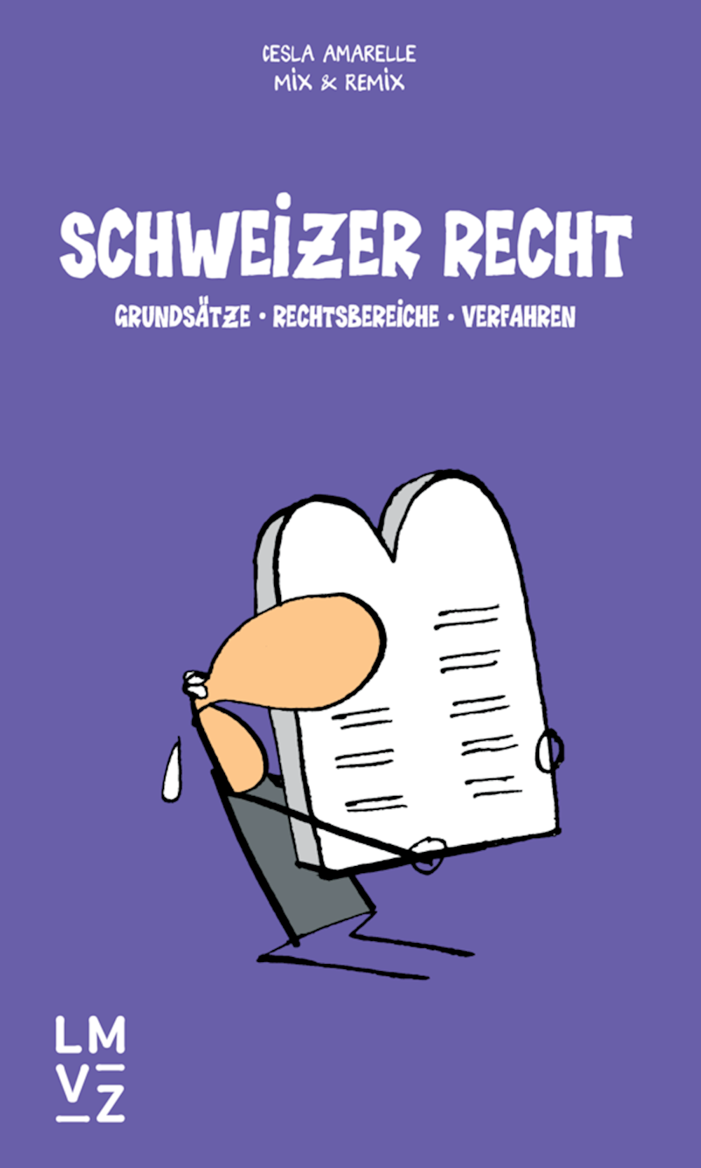 Kompaktwissen mit Humor Schweizer Recht Grundsätze