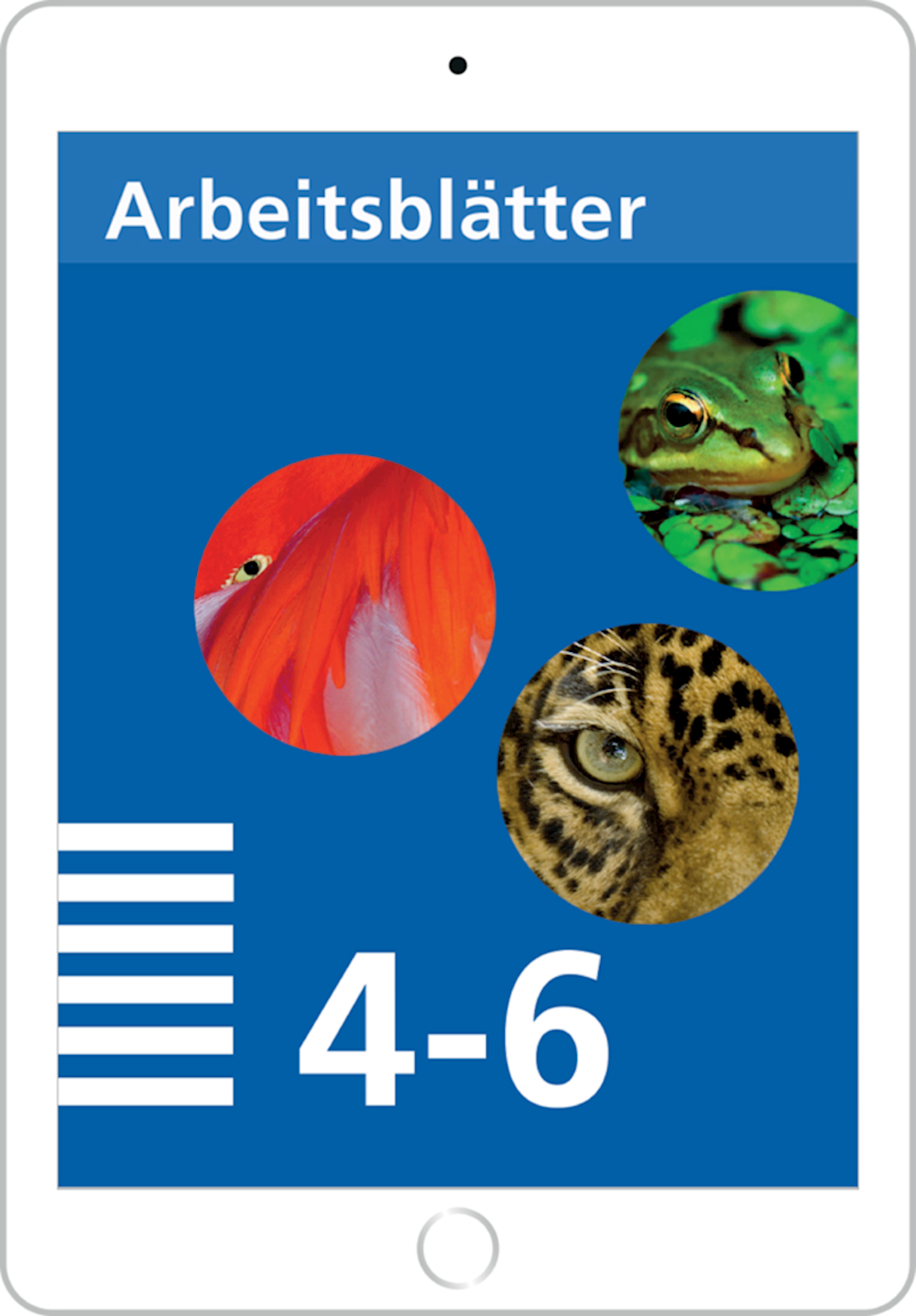 Mathematik 4–6 Primarstufe Arbeitsblätter - Arbeit