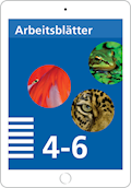 Mathematik 4–6 Primarstufe Arbeitsblätter - Arbeit